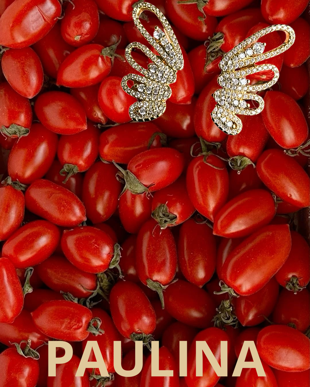 🍅 Les boucles Paulina -